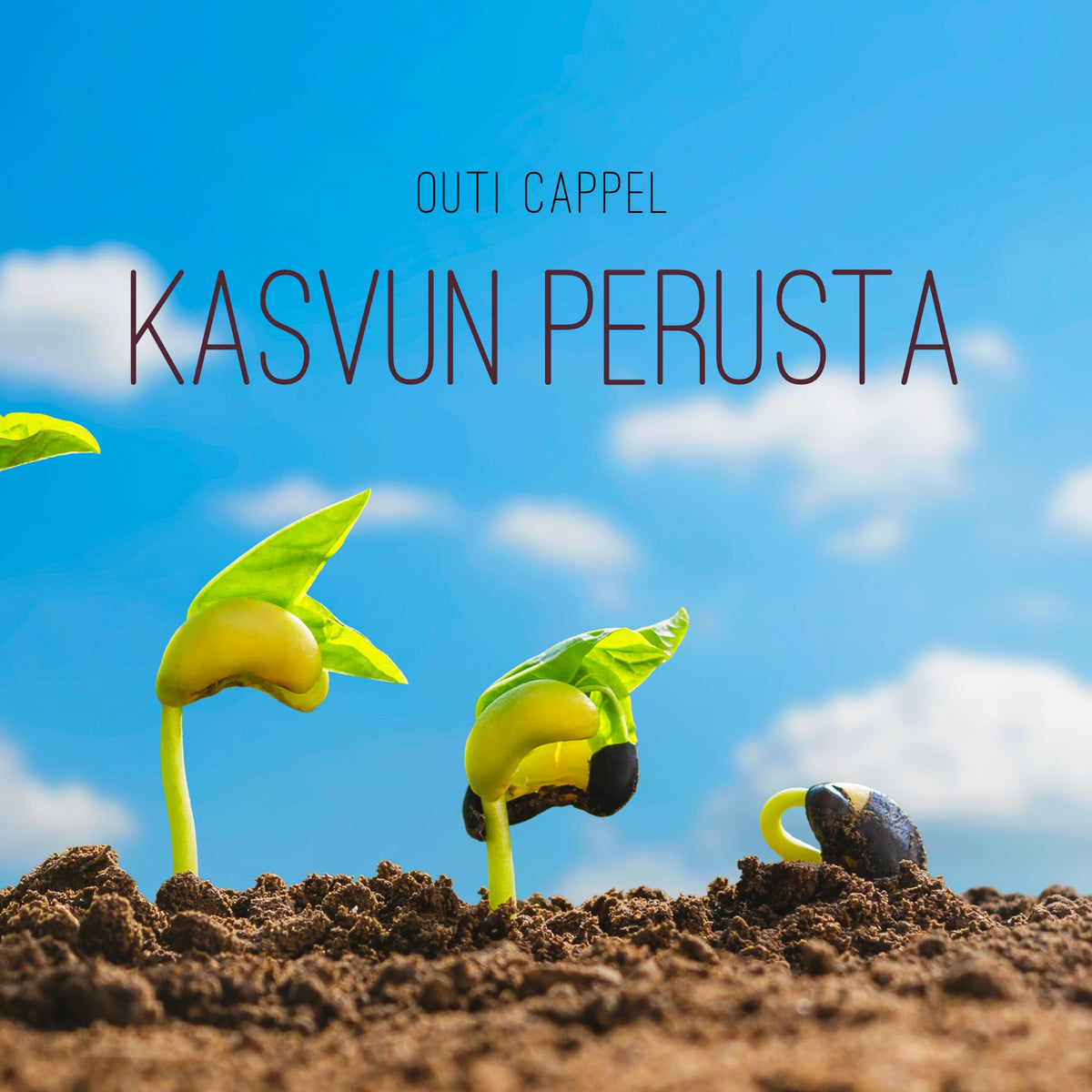 Outi Cappel: Kasvun perusta