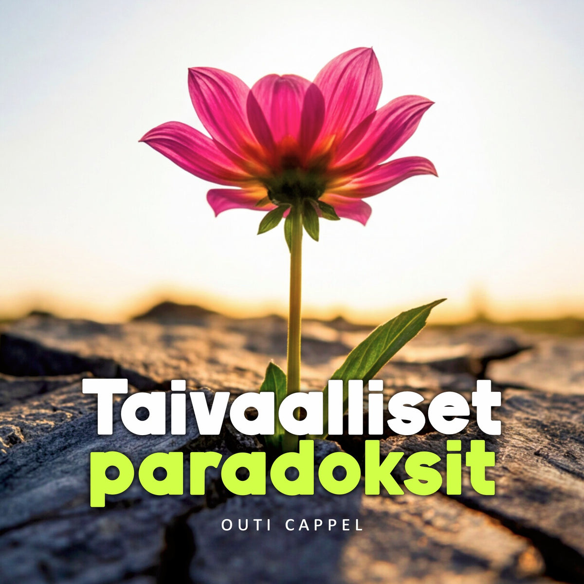 Outi Cappel: Taivaalliset paradoksit