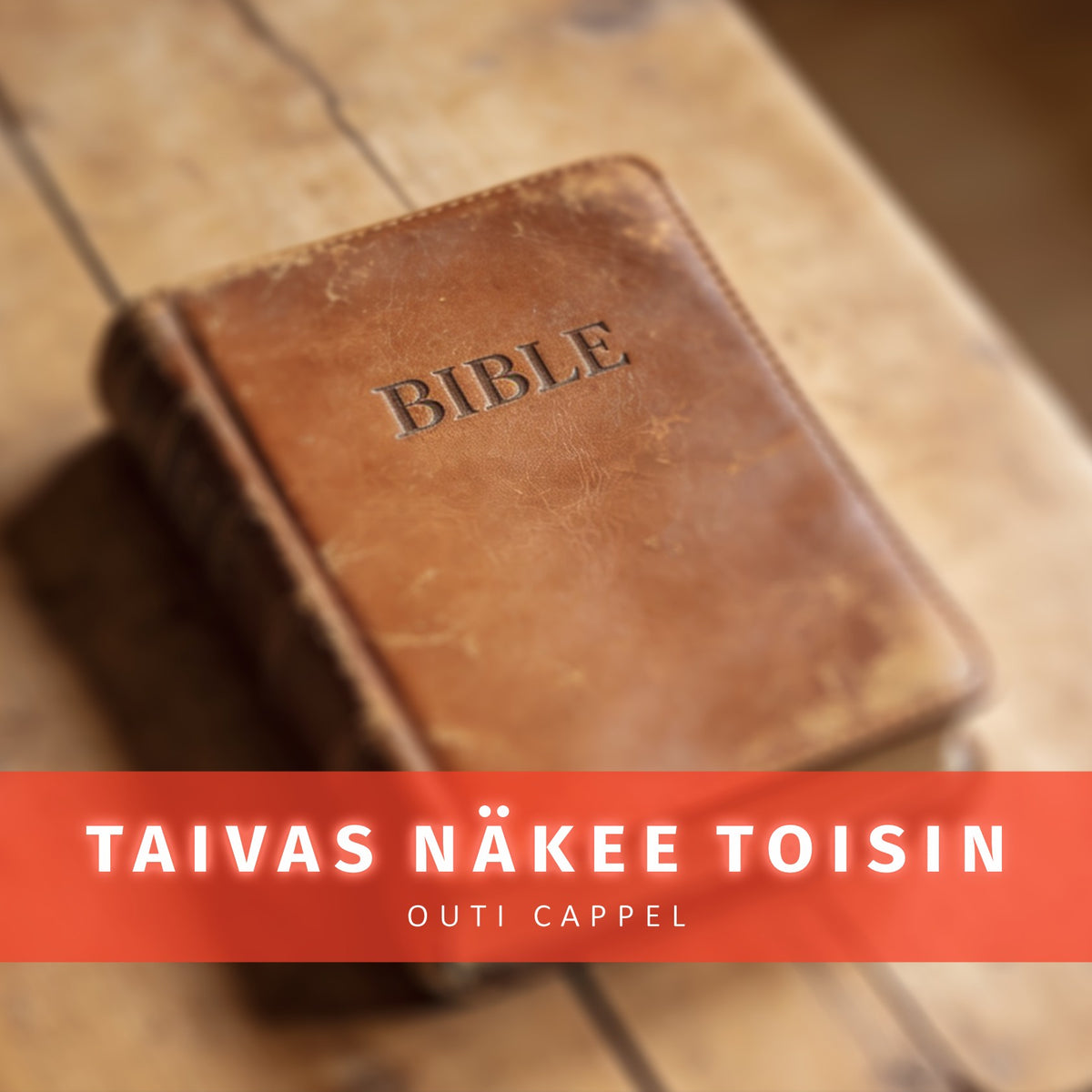 Outi Cappel: Taivas näkee toisin